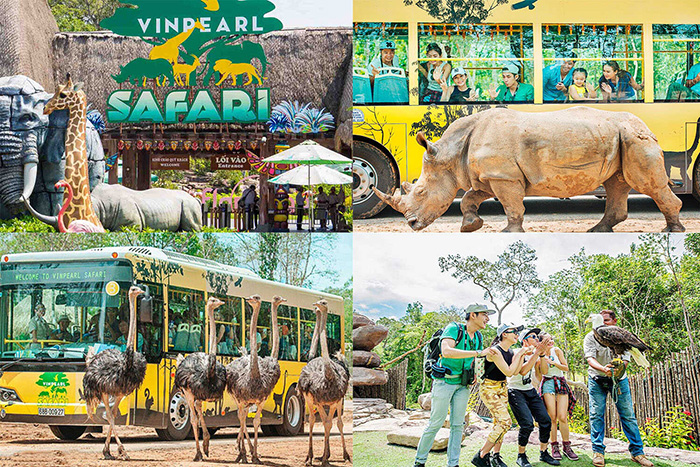 Vinpearl Safari Phú Quốc là một trải nghiệm bạn không nên bỏ lỡ